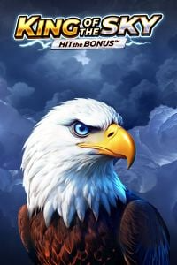 king of the sky hit the bonusplayson
